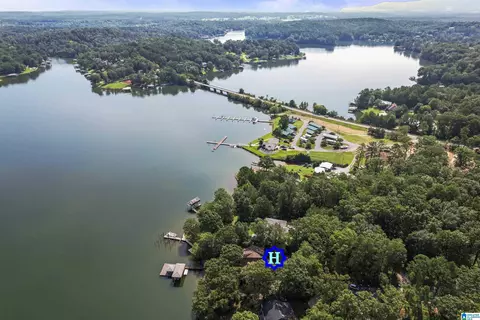 140 Centaurius Cir, Alpine, AL 35014 photo 5