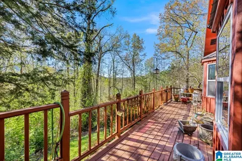 226 Tiny Kingdom Rd, Remlap, AL 35133 photo 23