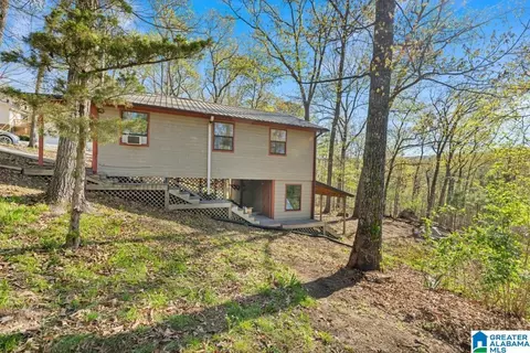 226 Tiny Kingdom Rd, Remlap, AL 35133 photo 27