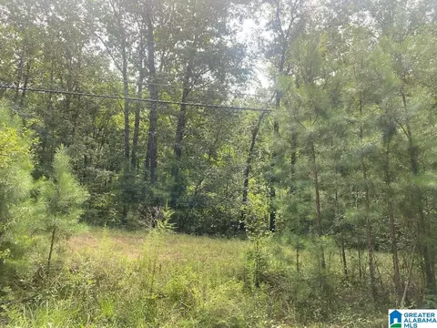 lot3 N Walston Bridge Rd #3, Jasper, AL 35504