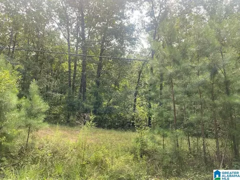 Lot 5 N Walston Bridge Road #5, Jasper, AL 35504