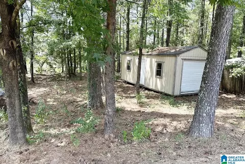 10593 Randall Dr, Vance, AL 35490 photo 18