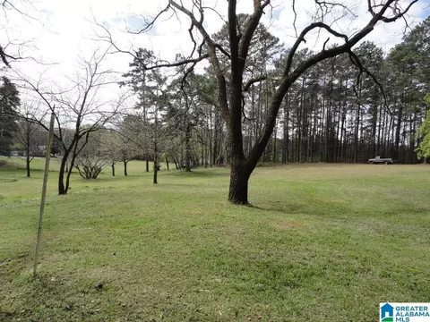 1624 Lake Dr NE #1, Center Point, AL 35215