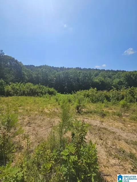 0 County Road 12 #0, Odenville, AL 35120