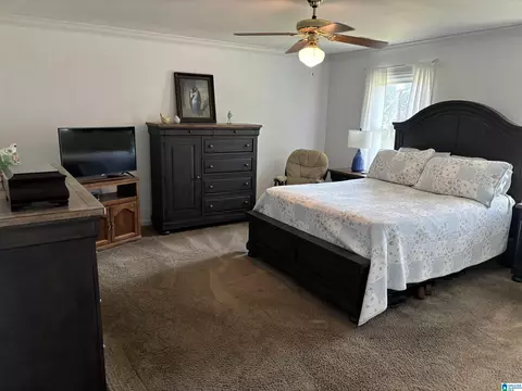 202 Newgate Cir, Alabaster, AL 35007 photo 13