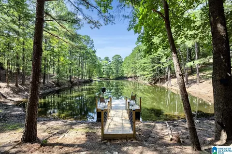 190 Forest Dr, Warrior, AL 35180 photo 43