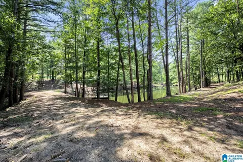 190 Forest Dr, Warrior, AL 35180 photo 45