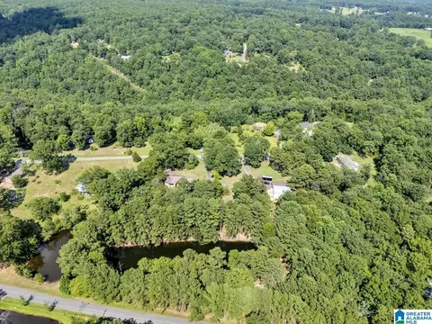 190 Forest Dr, Warrior, AL 35180 photo 50