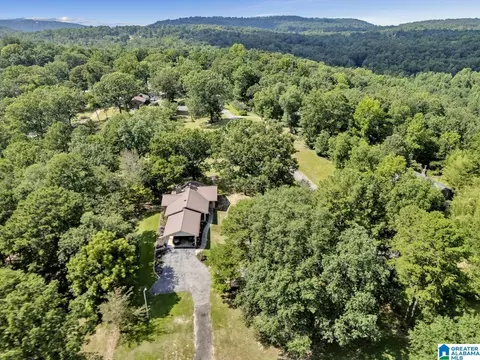 190 Forest Dr, Warrior, AL 35180 photo 53