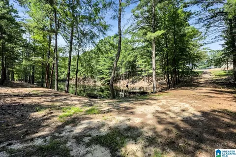 190 Forest Dr, Warrior, AL 35180 photo 46