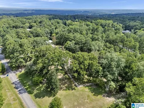190 Forest Dr, Warrior, AL 35180 photo 56