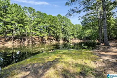 190 Forest Dr, Warrior, AL 35180 photo 47