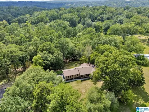 190 Forest Dr, Warrior, AL 35180 photo 52