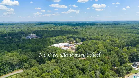 6014 Springview Dr, Mount Olive, AL 35117 photo 44