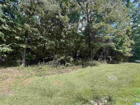 0 Taylor Rd #10.2, Remlap, AL 35133 photo 9