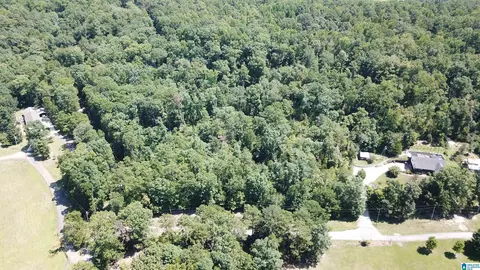 0 Taylor Rd #10.2, Remlap, AL 35133 photo 14