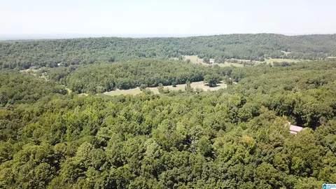 0 Taylor Rd #10.2, Remlap, AL 35133 photo 18