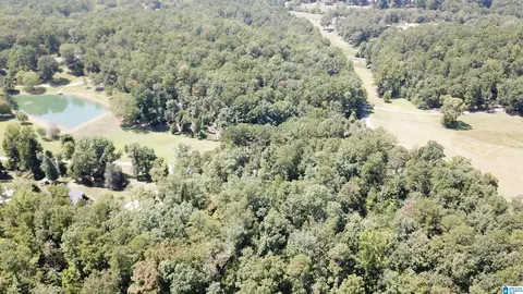 0 Taylor Rd #10.2, Remlap, AL 35133 photo 20