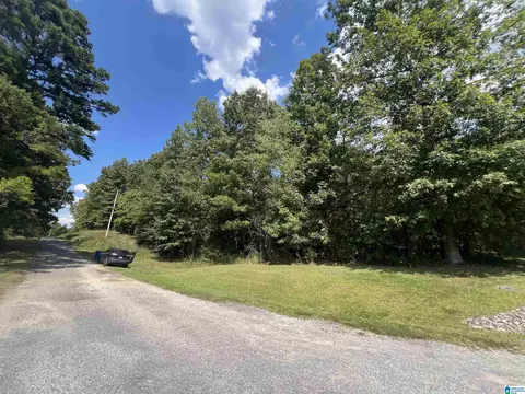 0 Taylor Rd #10.2, Remlap, AL 35133 photo 7