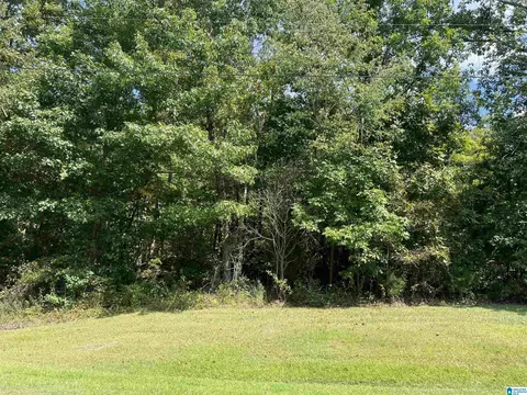 0 Taylor Rd #10.2, Remlap, AL 35133 photo 12