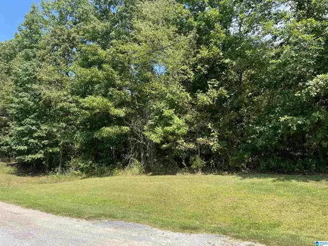 0 Taylor Rd #10.2, Remlap, AL 35133 photo 10
