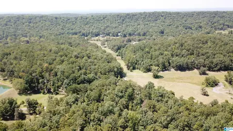 0 Taylor Rd #10.2, Remlap, AL 35133 photo 21