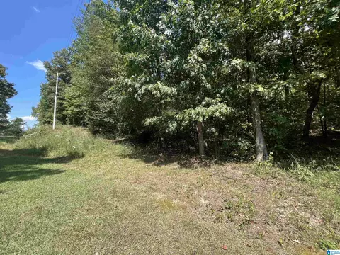 0 Taylor Rd #10.2, Remlap, AL 35133 photo 6