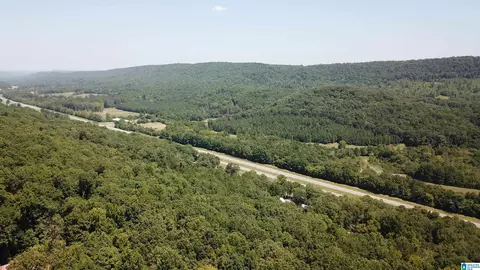 0 Taylor Rd #10.2, Remlap, AL 35133 photo 23