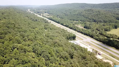0 Taylor Rd #10.2, Remlap, AL 35133 photo 15