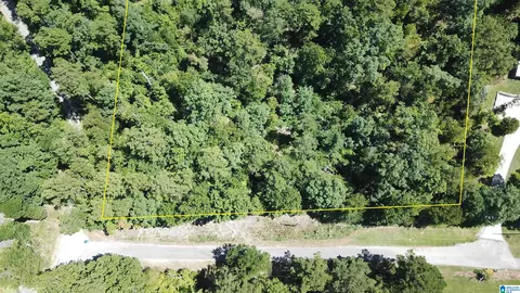 0 Taylor Rd #10.2, Remlap, AL 35133 photo 16