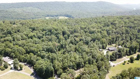 0 Taylor Rd #10.2, Remlap, AL 35133 photo 19