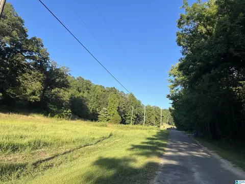 0 Taylor Rd #10.2, Remlap, AL 35133 photo 5