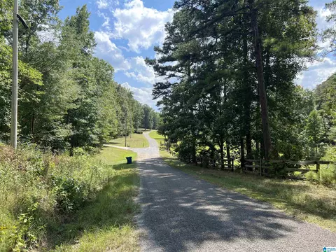 0 Taylor Rd #10.2, Remlap, AL 35133 photo 13