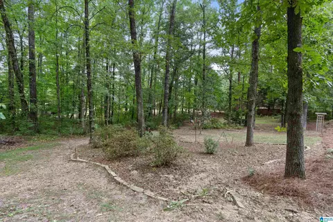 22538 Iron Masters Loop, Mc Calla, AL 35111 photo 50