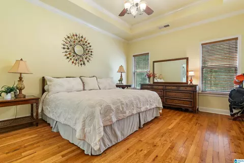 22538 Iron Masters Loop, Mc Calla, AL 35111 photo 25