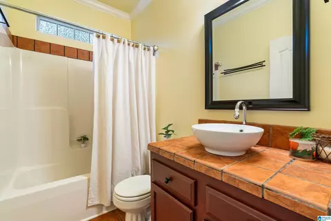 22538 Iron Masters Loop, Mc Calla, AL 35111 photo 31