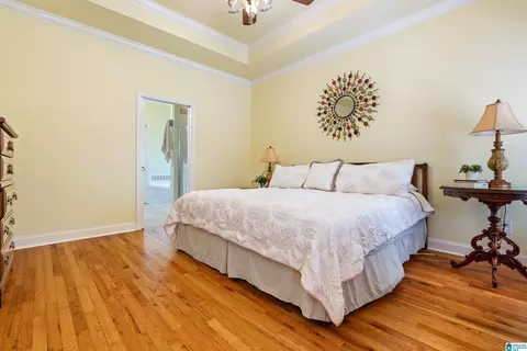 22538 Iron Masters Loop, Mc Calla, AL 35111 photo 24