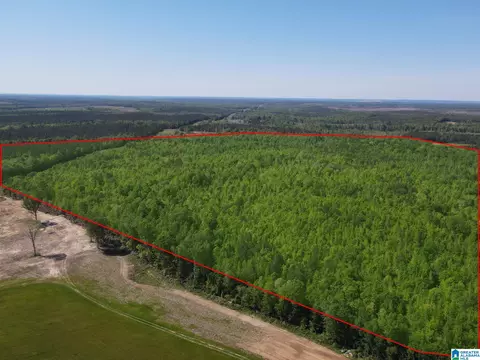 160 Acres County Road 73 #2000-3000, Randolph, AL 36792