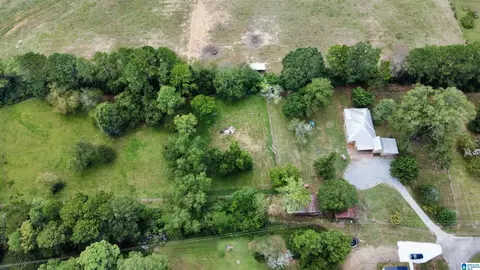 168 Dixie Ln, Vincent, AL 35178 photo 1