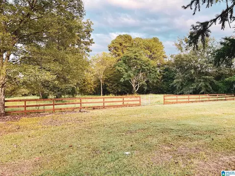 168 Dixie Ln, Vincent, AL 35178 photo 21