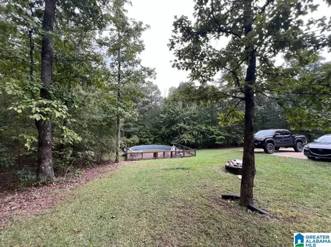 20913 Cedar Rd, Mc Calla, AL 35111 photo 6
