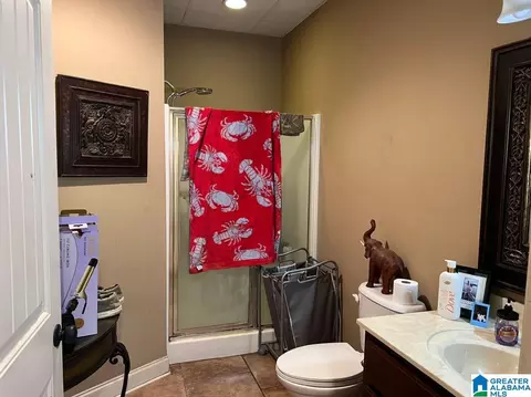 20913 Cedar Rd, Mc Calla, AL 35111 photo 15