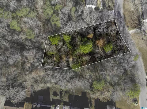 1024 Timberline Trl #12, Birmingham, AL 35215