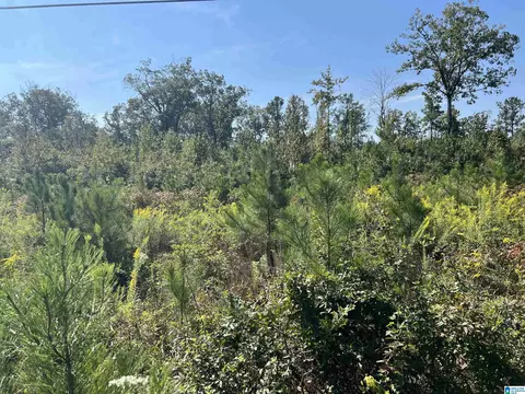 0 Shore Dr #N/A, Ashville, AL 35953