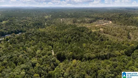 0 County Road 759 #0, Clanton, AL 35046