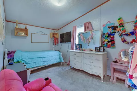 1353 Kincheon Rd, Clanton, AL 35045 photo 35