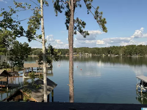 50 Old Jay Rd, Eclectic, AL 36024 photo 22