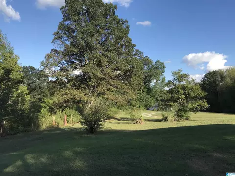 175 Boren Rd, Warrior, AL 35180 photo 16