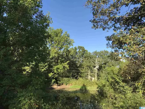 175 Boren Rd, Warrior, AL 35180 photo 17
