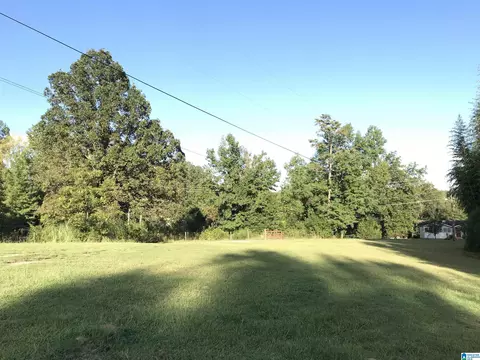 175 Boren Rd, Warrior, AL 35180 photo 15